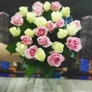 25 роз бело-розовых 40 см (Россия)
